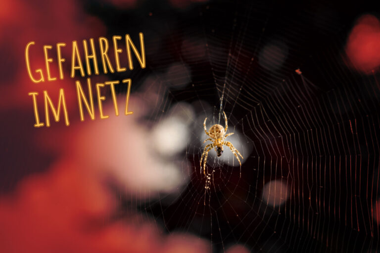 Das Spinnennetz als Sinnbild fürs WWW