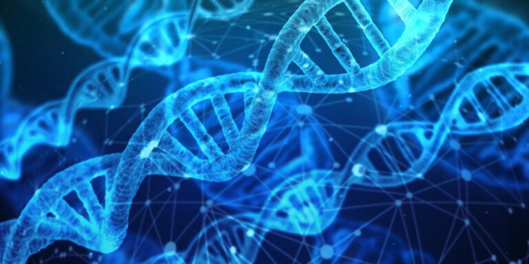 DNA Genforschung